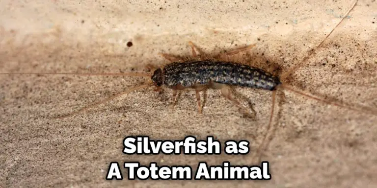 Spiritual Meaning Of A Silverfish Symbolism And Totem