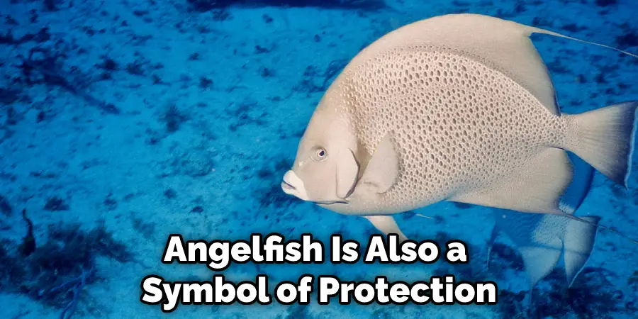 Angelfish Is Also a  Symbol of Protection