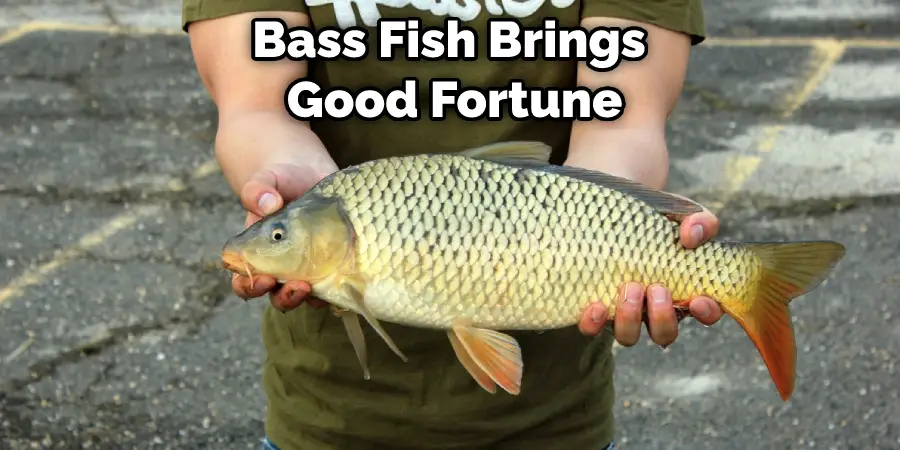 Bass Fish Brings Good Fortune