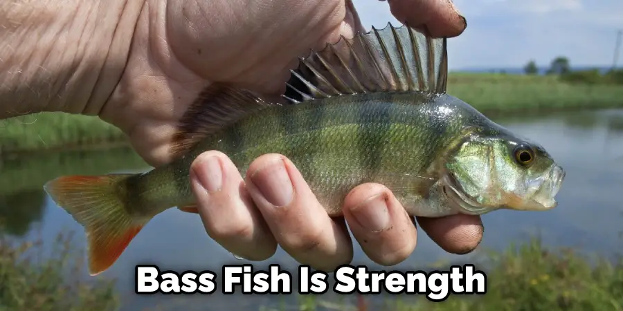 Bass Fish Is Strength