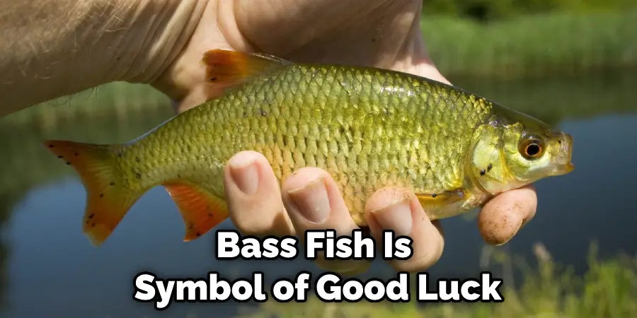 Bass Fish Is Symbol of Good Luck