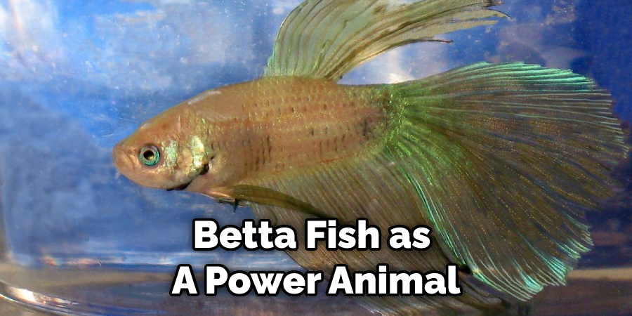 Betta Fish as  A Power Animal