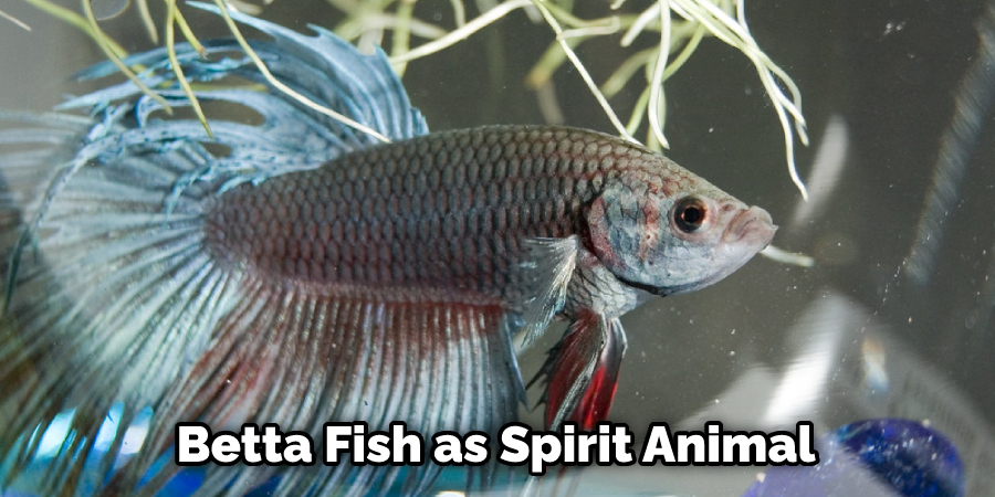 Betta Fish as Spirit Animal