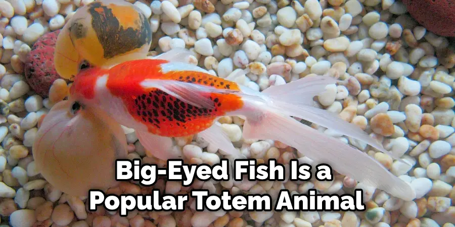 Big-Eyed Fish Is a  Popular Totem Animal