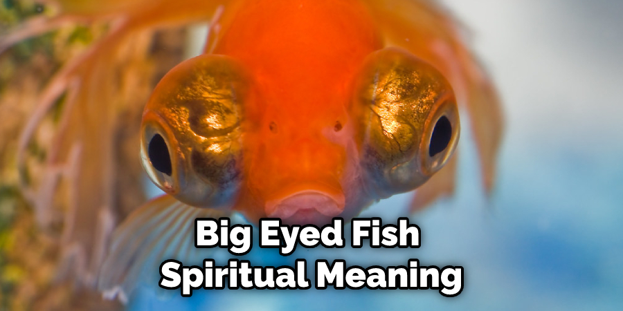 Big Eyed Fish  Spiritual Meaning