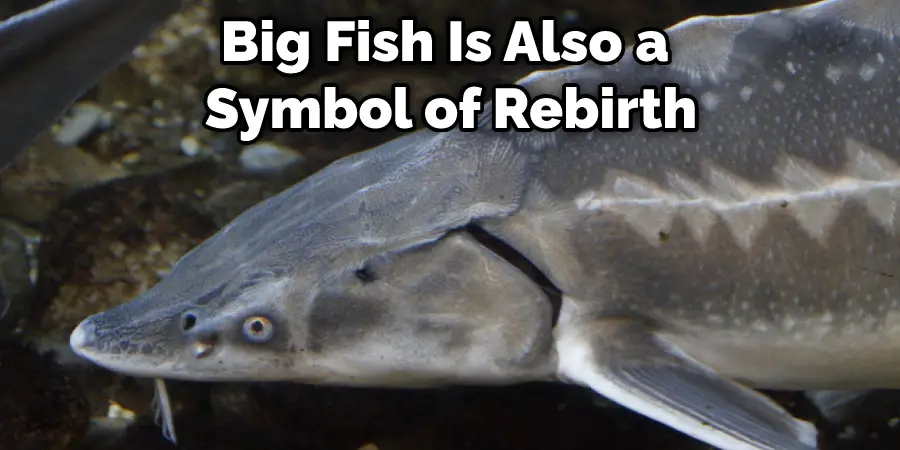 Big Fish Is Also a Symbol of Rebirth