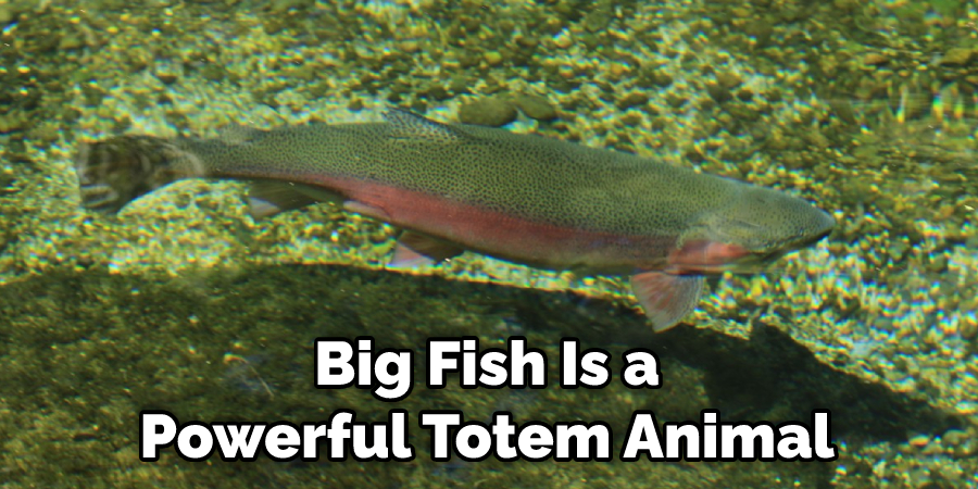 Big Fish Is a Powerful Totem Animal