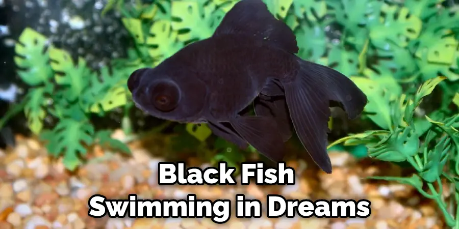 Black Fish  Swimming in Dreams