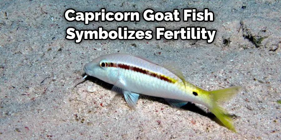 Capricorn Goat Fish  Symbolizes Fertility