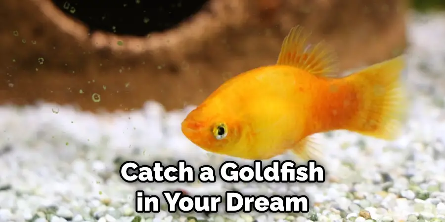Catch a Goldfish in Your Dream