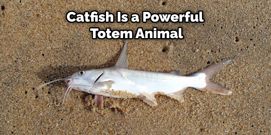 Catfish Is a Powerful  Totem Animal