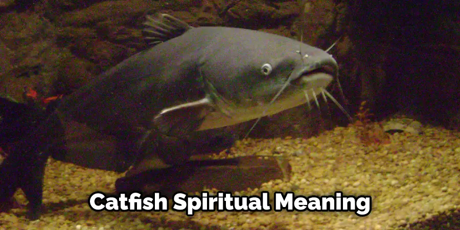 Catfish Spiritual Meaning
