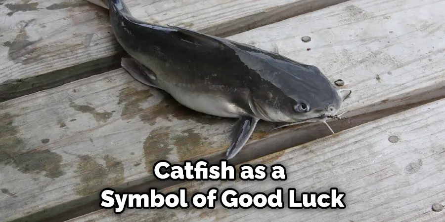 Catfish as a  Symbol of Good Luck