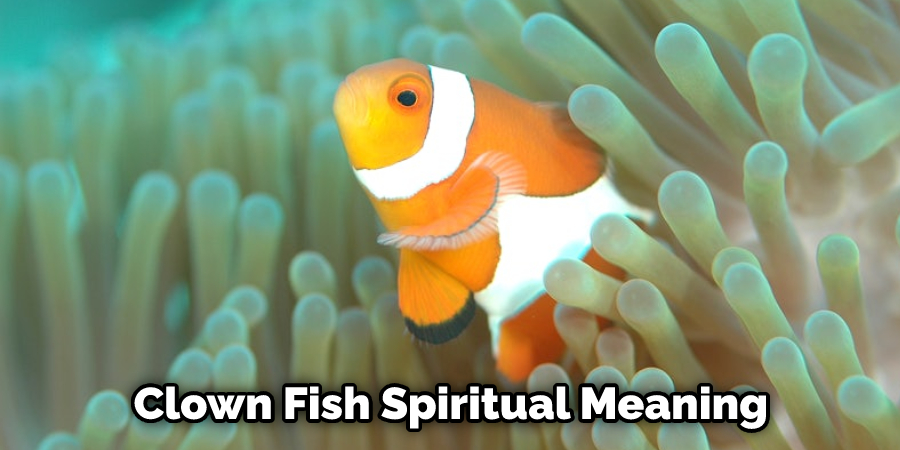 Clown Fish Spiritual Meaning