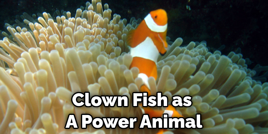 Clown Fish as  A Power Animal
