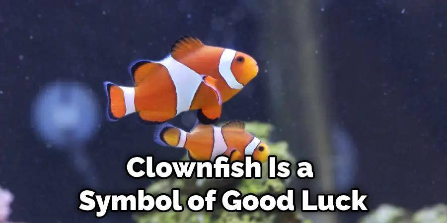 Clownfish Is a  Symbol of Good Luck