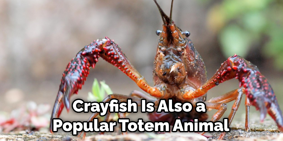 Crayfish Is Also a  Popular Totem Animal