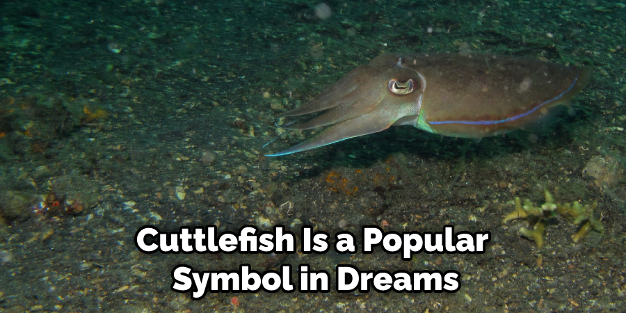 Cuttlefish Is a Popular  Symbol in Dreams