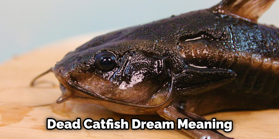 Dead Catfish Dream Meaning