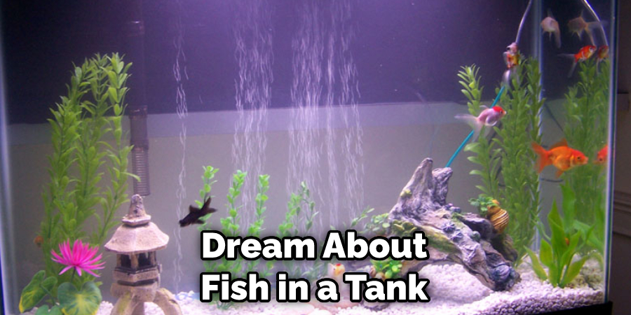 Dream About Fish in a Tank