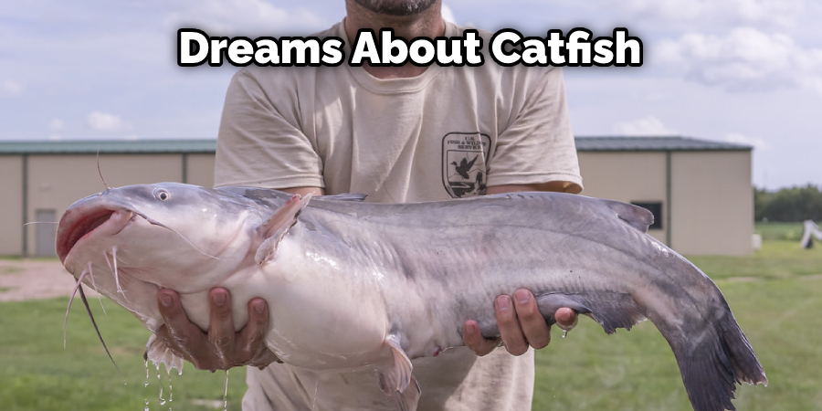 Dreams About Catfish