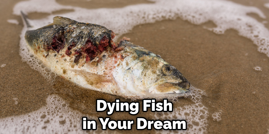 Dying Fish in Your Dream