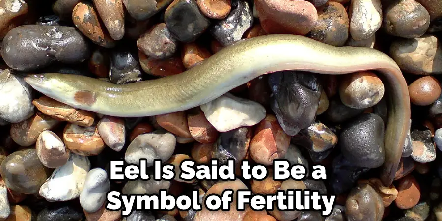 Eel Is Said to Be a  Symbol of Fertility