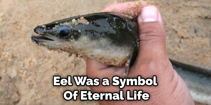 Eel Was a Symbol  Of Eternal Life