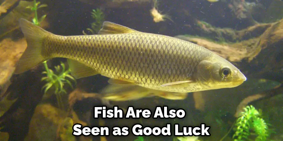 Fish Are Also Seen as Good Luck