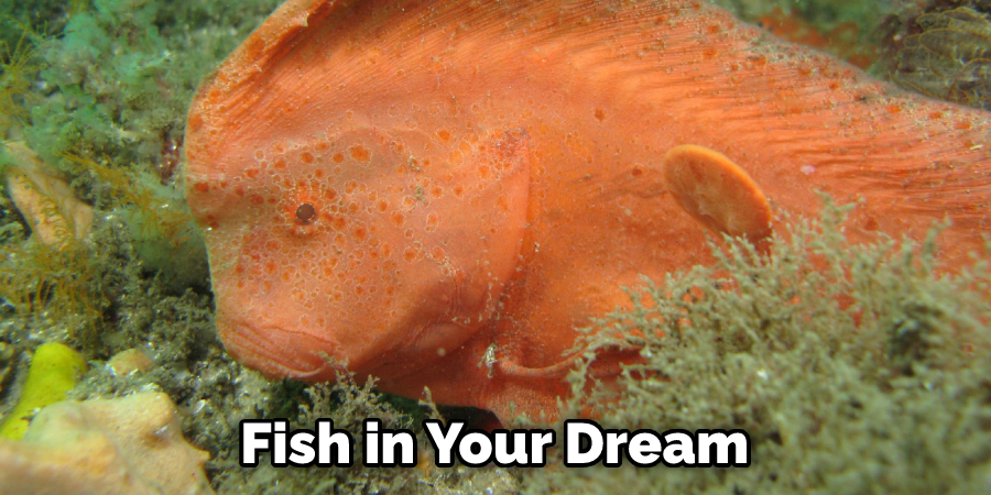 Fish in Your Dream