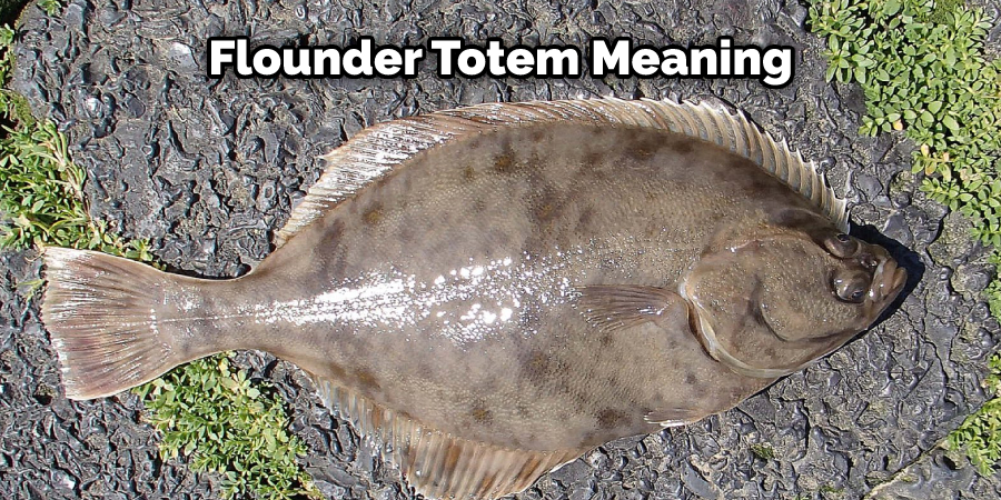 Flounder Totem Meaning