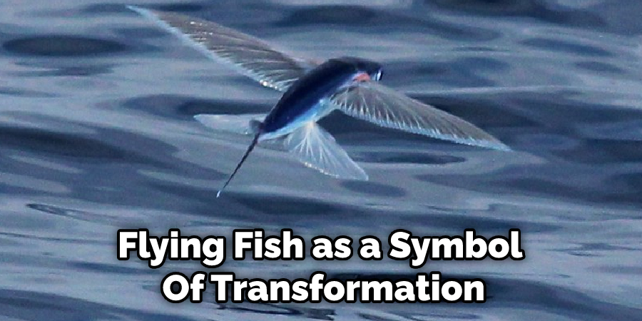 Flying Fish Is Seen  As a Symbol of Hope