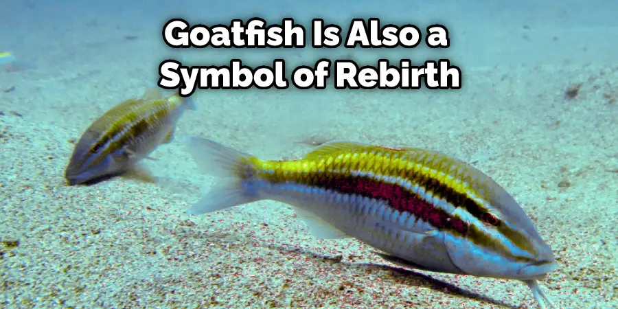 Goatfish Is Also a  Symbol of Rebirth