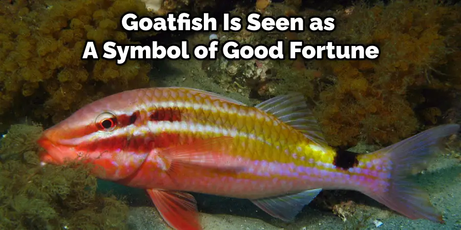 Goatfish Is Seen as  A Symbol of Good Fortune
