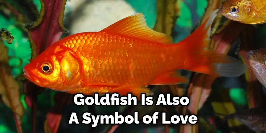 Goldfish Is Also  A Symbol of Love