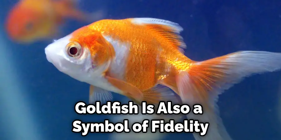 Goldfish Is Also a  Symbol of Fidelity