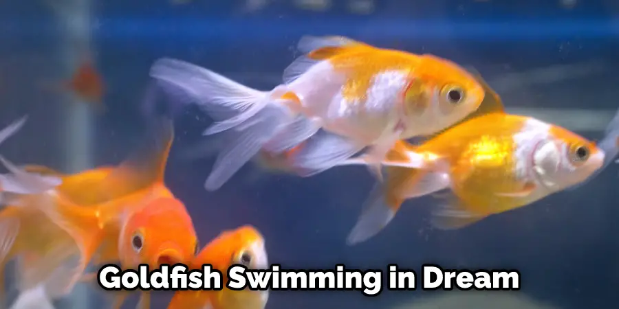 Goldfish Swimming in Dream