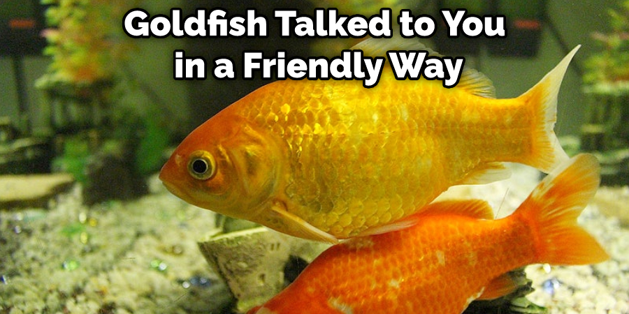 Goldfish Talked to You in a Friendly Way