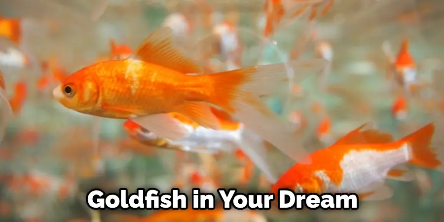 Goldfish in Your Dream