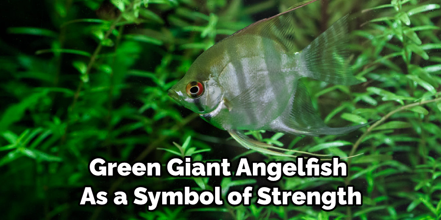 Green Giant Angelfish  As a Symbol of Strength