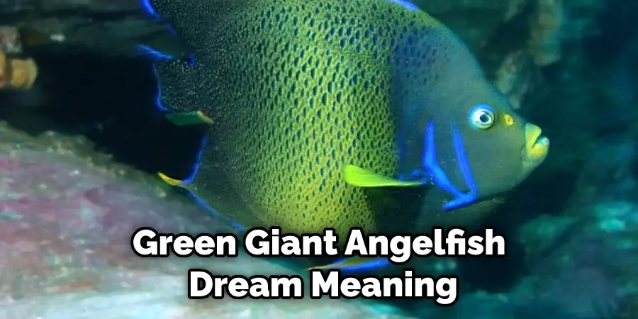 Green Giant Angelfish  Dream Meaning