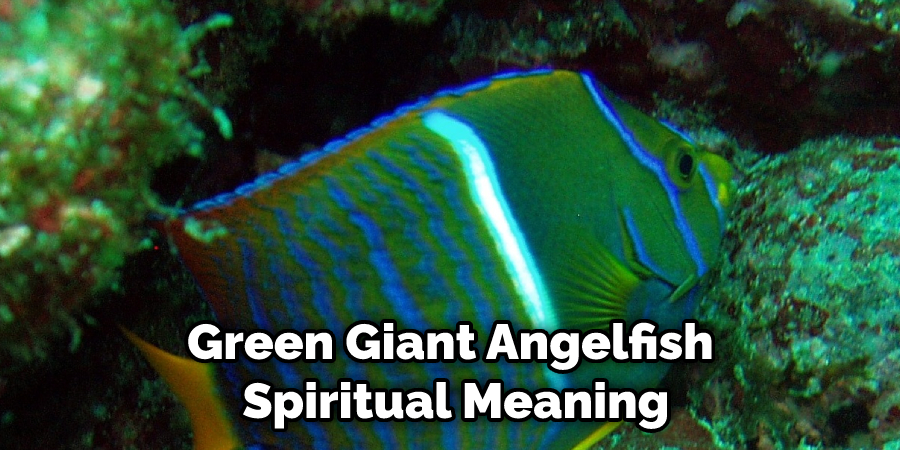 Green Giant Angelfish  Spiritual Meaning