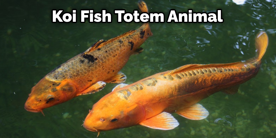Koi Fish Totem Animal