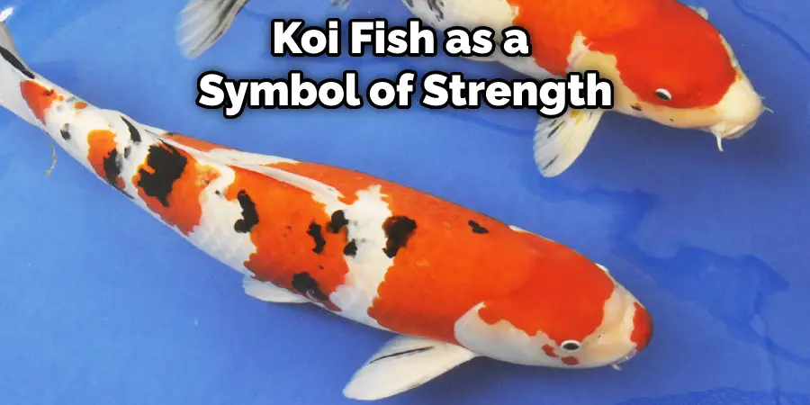 Koi Fish as a  Symbol of Strength