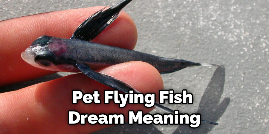 Pet Flying Fish  Dream Meaning