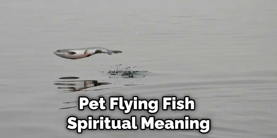 Pet Flying Fish  Spiritual Meaning