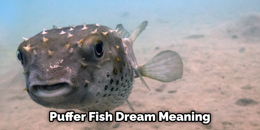 Puffer Fish Dream Meaning