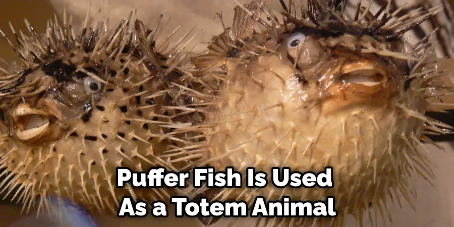 Puffer Fish Is Used  As a Totem Animal