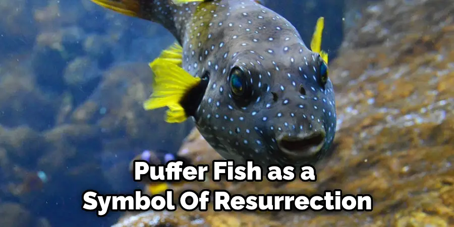 Puffer Fish as a Symbol  Of Resurrection