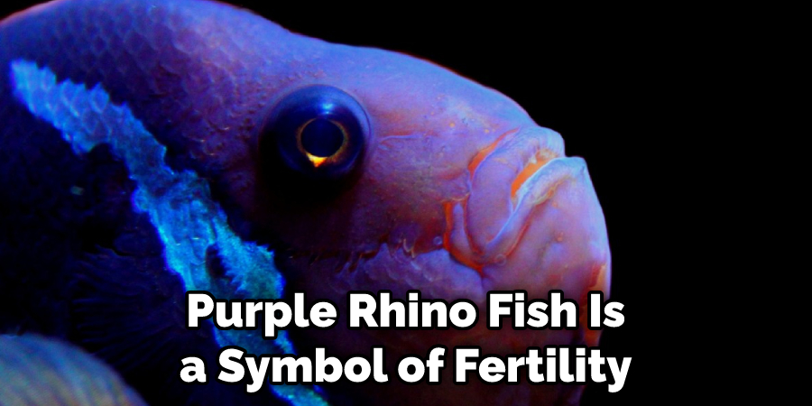 Purple Rhino Fish Is a Symbol of Fertility